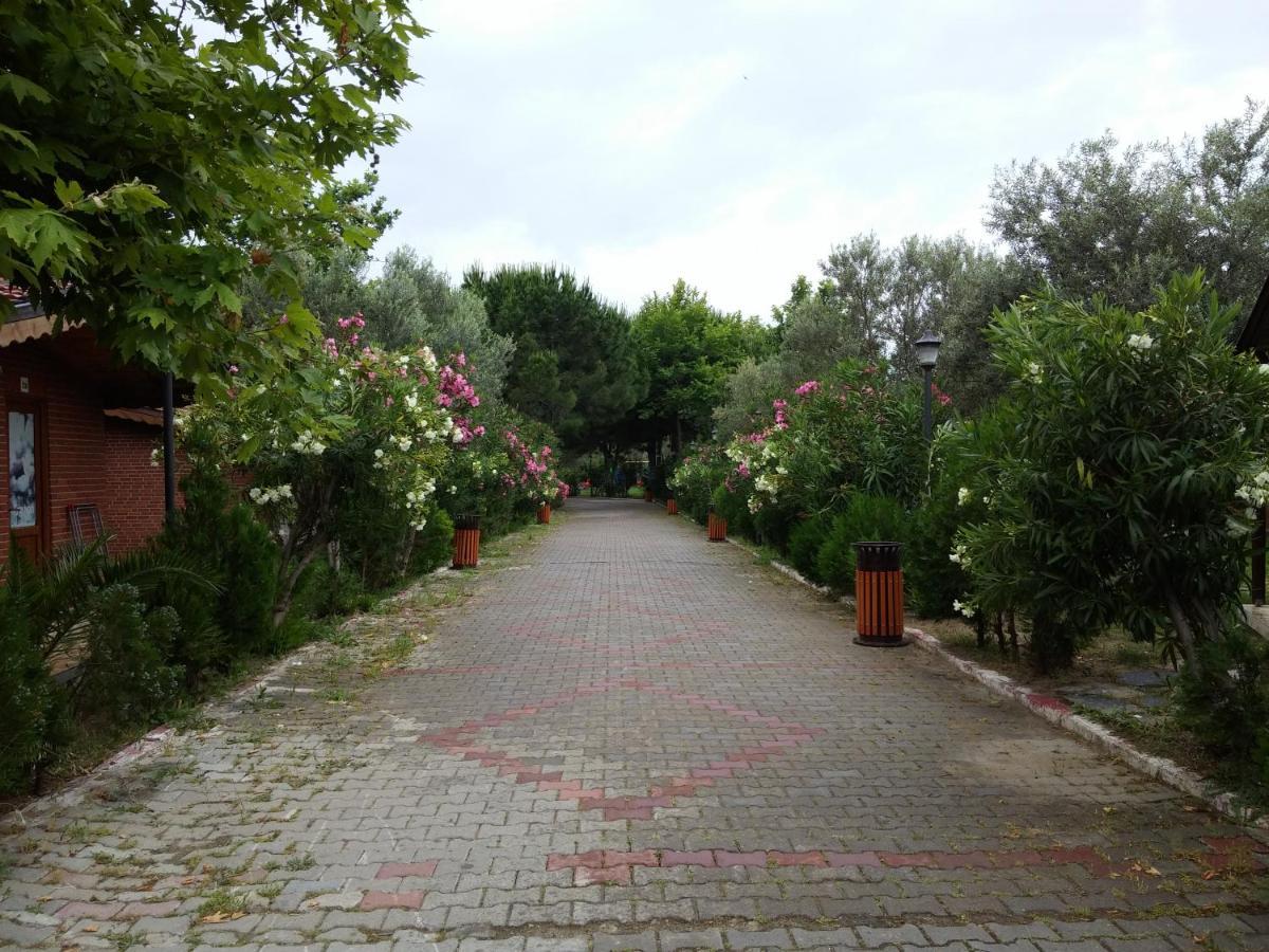 Kervan Tatil Koeyue Едремит Екстериор снимка
